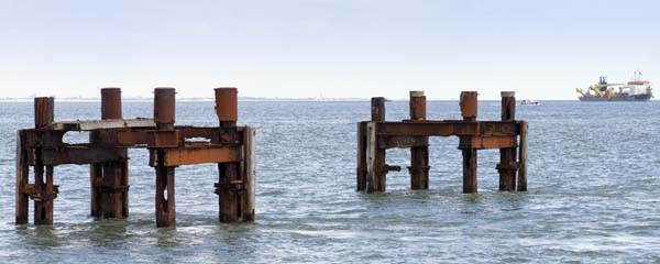 Pier Dolphins,Lepe,Stansore Point