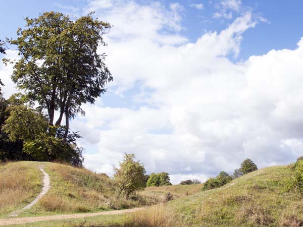 Entrance,Danebury Hill Fort,Iron Age,Trees