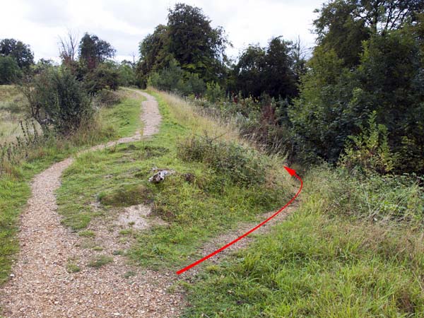 Walls,Danebury Hill Fort,Iron Age