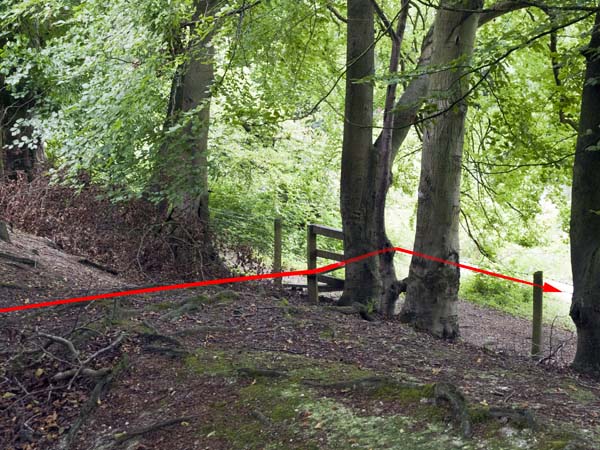 Stile,Danebury Hill Fort,Iron Age