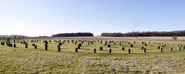 Woodhenge,Amesbury,Bronze Age,Antiquity