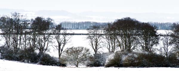 Snow,Beech Avenue,Badbury Rings