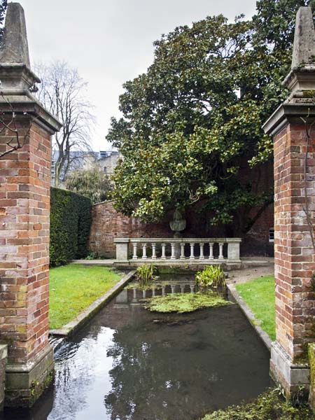 Garden,Colebrook Street,Winchester,Pond