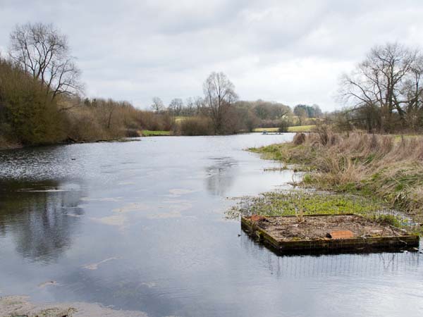 Reservoir,Lake,Wilton Water,Crofton