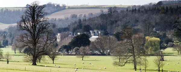 Goodwood House,Weald and Downland Museum,Singleton