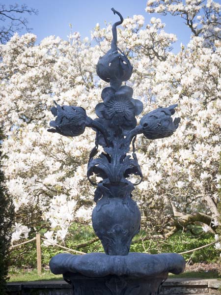 Urn,Magnolias,North Front,Mottisfont Abbey,Blossom,Trees