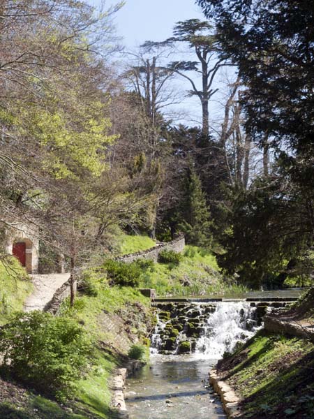 Cascade,Sherborne Castle,Gardens,Waterfall,Trees