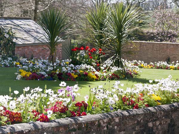 Castle Yard,Sherborne Castle,Gardens,Flowers
