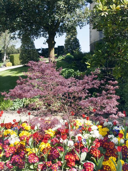 Gardens,Sherborne Castle,Flowers