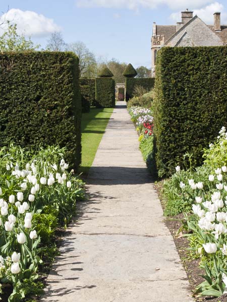 Main Border,Lytes Cary,Somerton,Flowers,Gardens