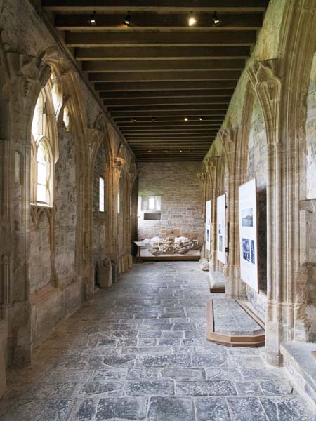 South Cloister Walk,Abbot's Lodging,Muchelney Abbey,Ruin,English Heritage,Langport