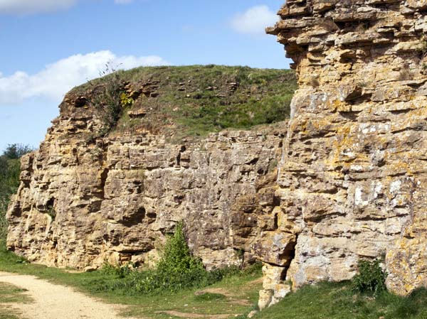 Quarry Face,Ham Hill,Country Park