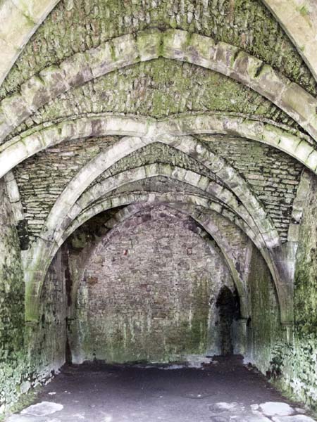 Cellar,Chepstow Castle