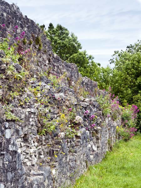 Port Wall,Chepstow
