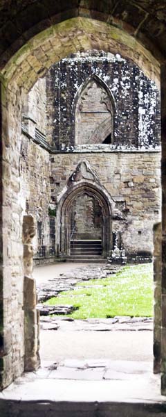 Cloister,Tintern Abbey