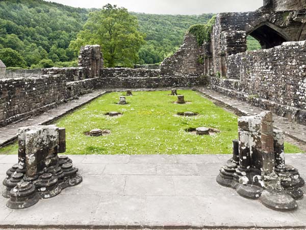Chapter House,Tintern Abbey