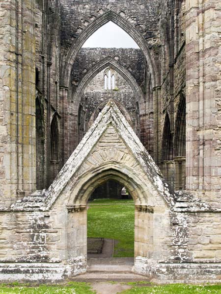 Transepts,Tintern Abbey
