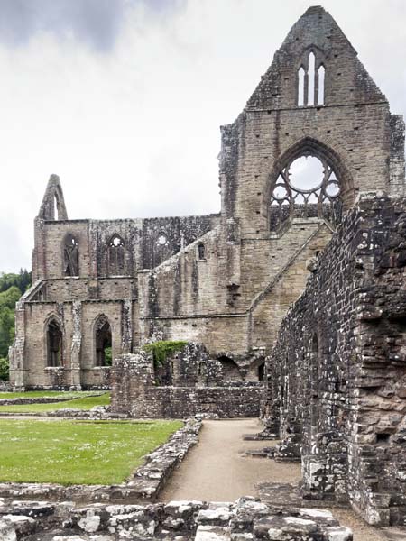 Infirmary Cloister,Tintern Abbey