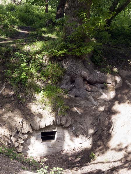 Mine,Darkhill Ironworks,Gorsty Hill,Parkend,Royal Forest of Dean,Ruins