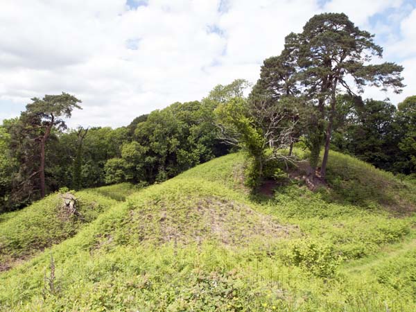 Motte,Cranborne Castle