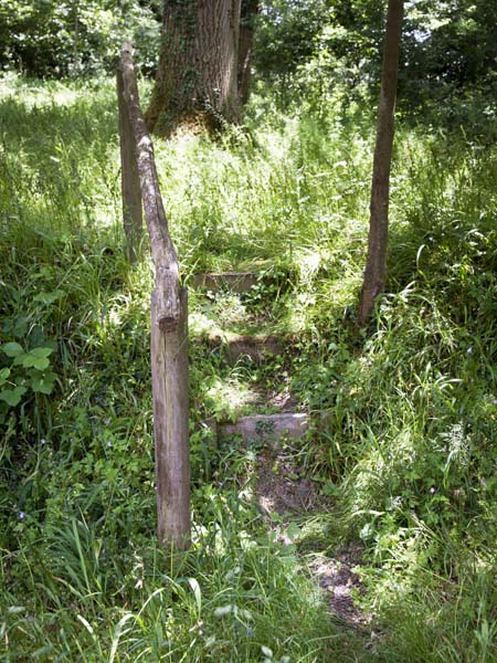 Steps,Edmondsham
