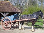  A Horse and Cart