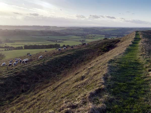 Walls,Old Winchester Hill,Iron Age,Hill Fort