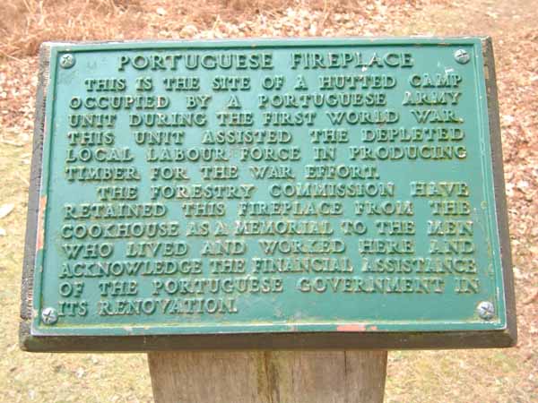 Plaque,Portuguese Fireplace