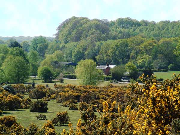 Stagbury Hill