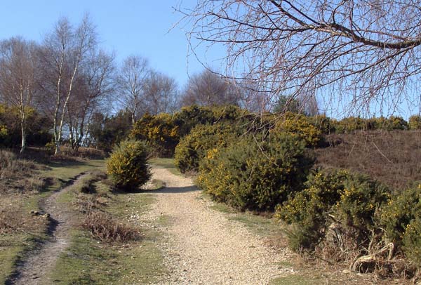 Smugglers Lane