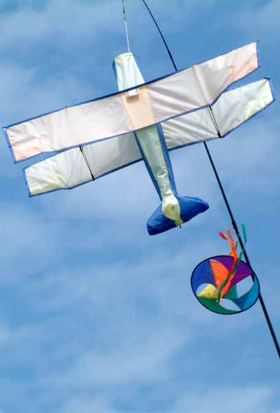 Wimborne Folk Festival,Craft Fair,Kite