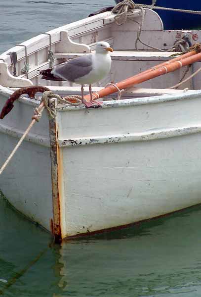 Boats,Boat,St Ives