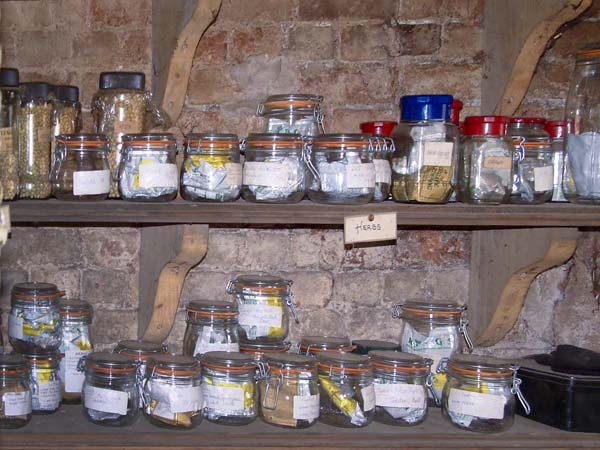 Heligan,Lost Gardens,Seeds