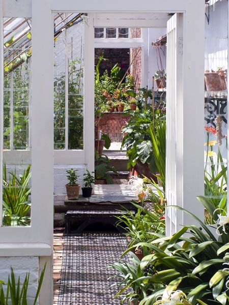 Heligan,Lost Gardens,Glasshouse,Greenhouse,Plants