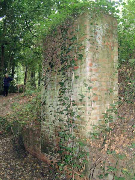 Highcliffe,Steamer Point,Satellite Tracking Station,Ruins