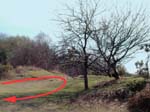 Castle Hill Embankment