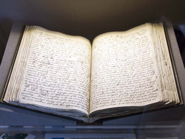 Manuscript,Book,Gilbert White's House,Selborne