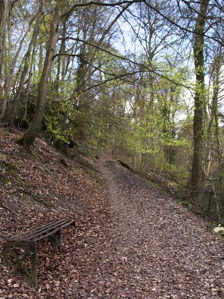 Bostal Path,Selborne Common