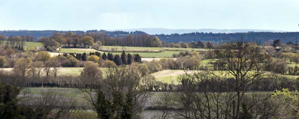 South Downs,Selborne Common