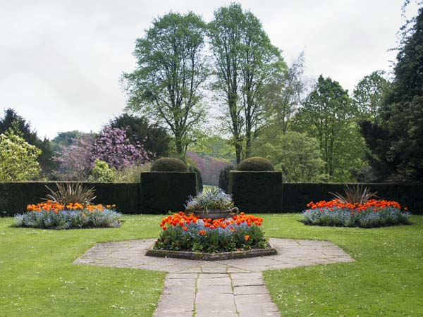 Yew Garden,Hinton Ampner,Garden,National Trust