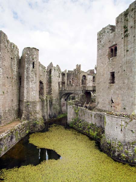 Moat,Raglan Castle,Cadw