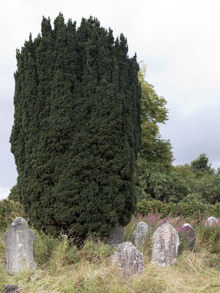 Baptist Chapel,Graves,Imber