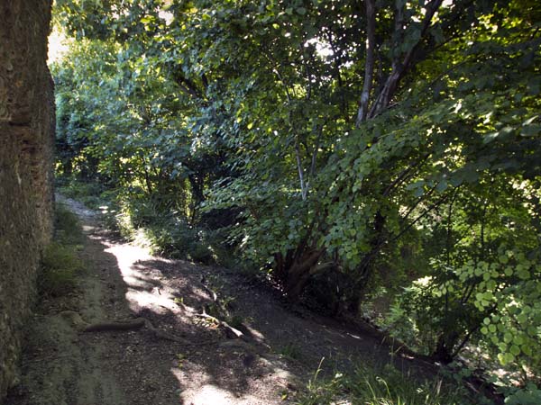 Curtain Wall,Ditch,Bramber Castle,Ruin,English Heritage