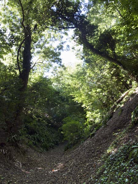 Ditch,Bramber Castle