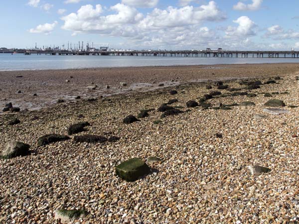 St Andrew's Castle Debris,Hamble Common
