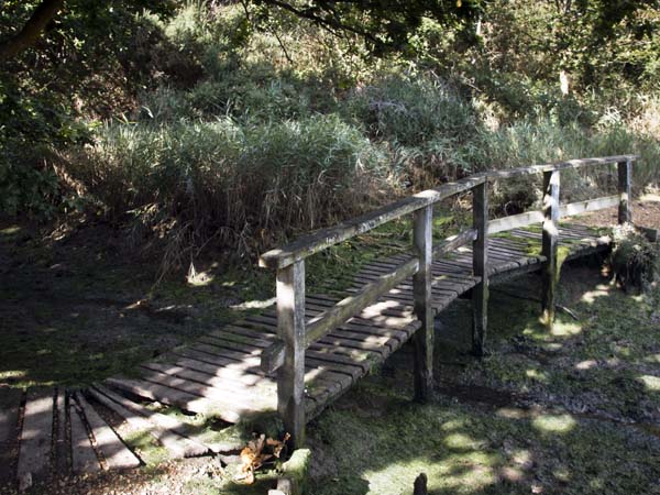 Boardwalk,Hamble Common