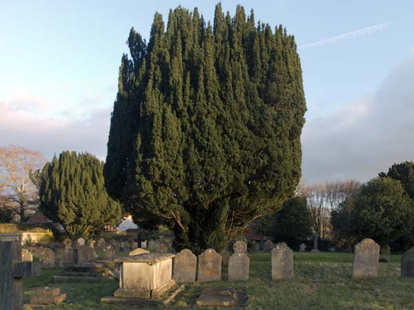 St Faith's,Graveyard,Winchester