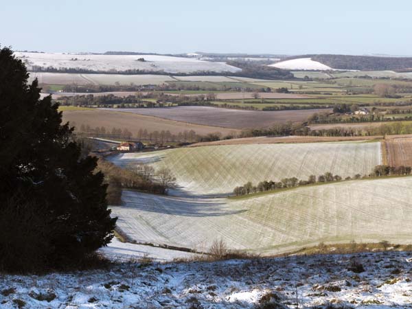 Butser Hill