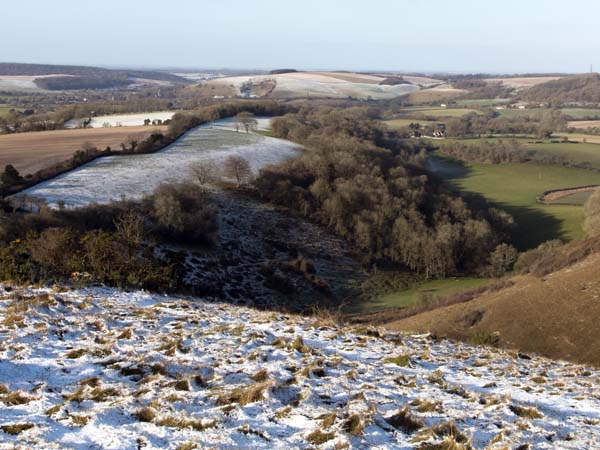 Barrow Hill,Butser Hill