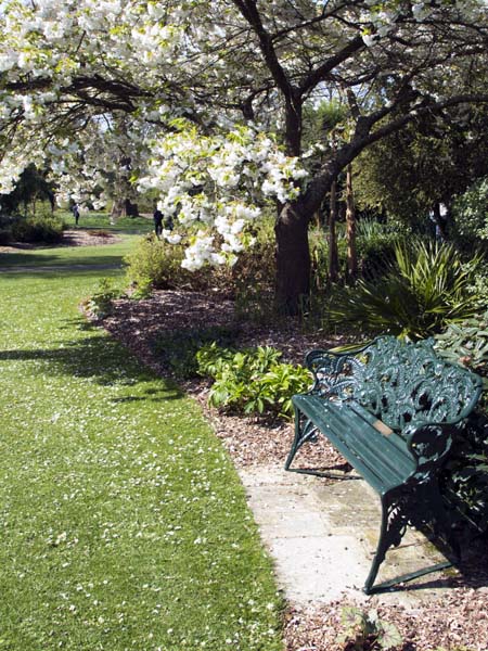Bench,West Dean Gardens